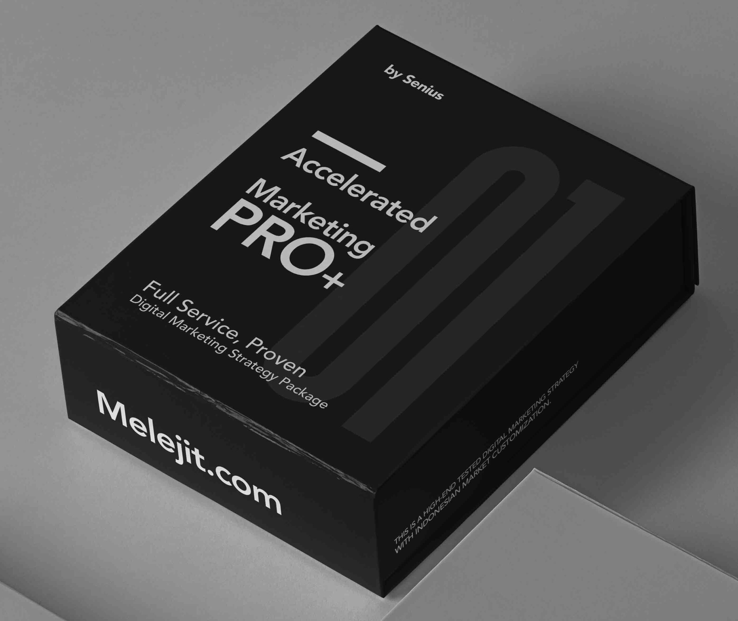 Accelerated Marketing Pro Product Box